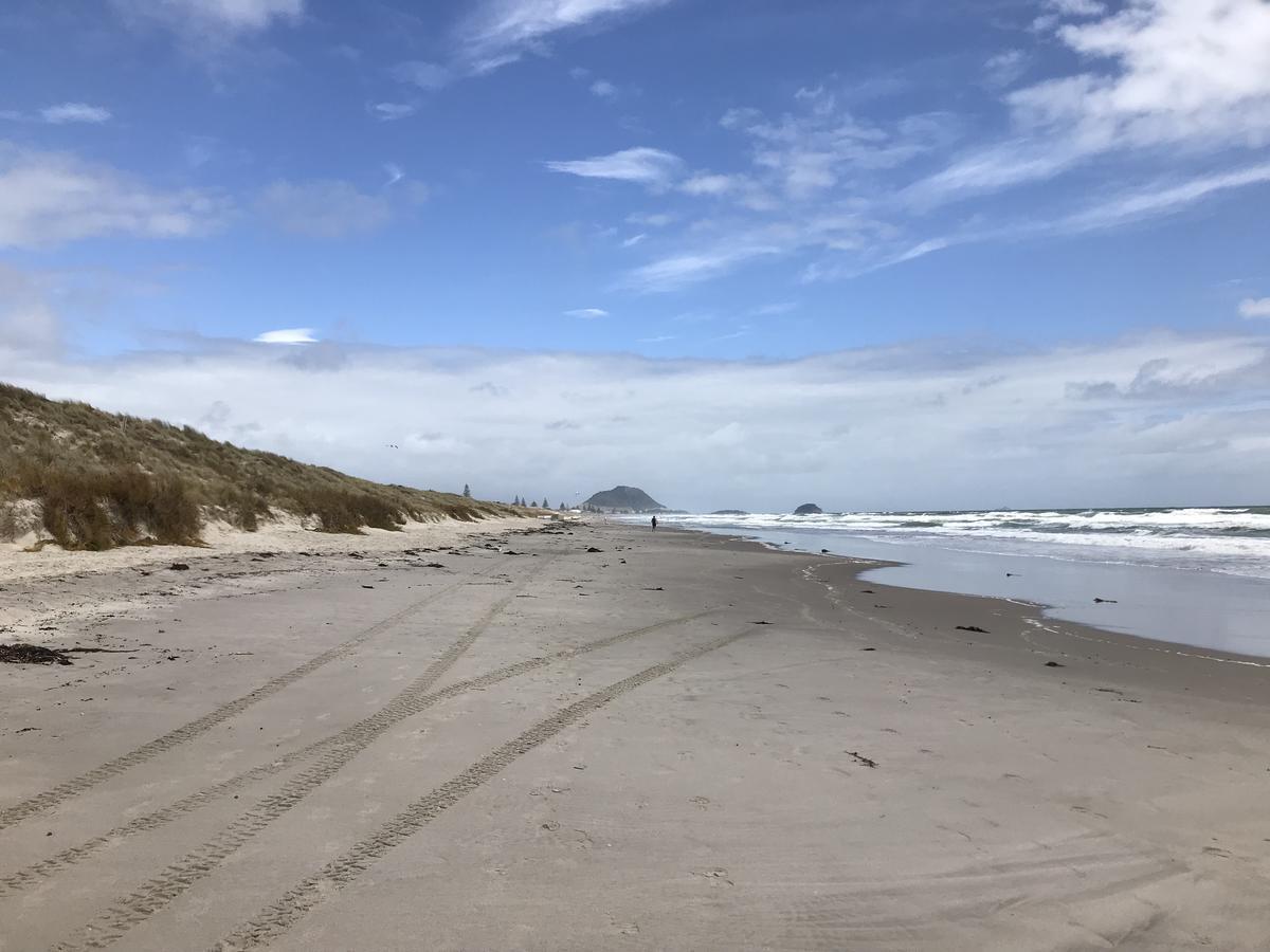 Unit By The Beach Mount Maunganui Exterior photo